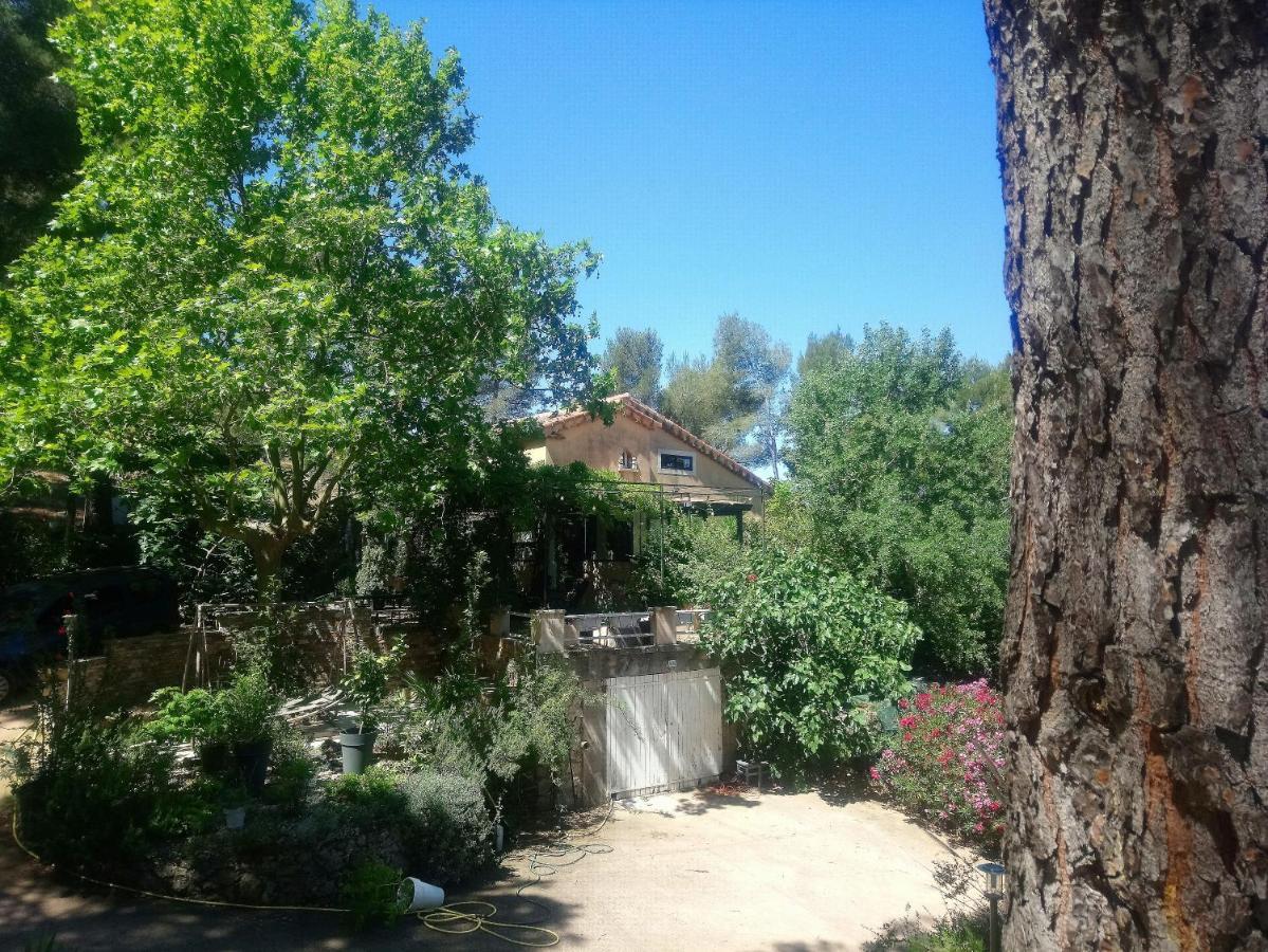 Maison De Charme Avec Piscine Et Jacuzzi Dans Cadre Exceptionnel Proche Marseille Mirabeau Zewnętrze zdjęcie